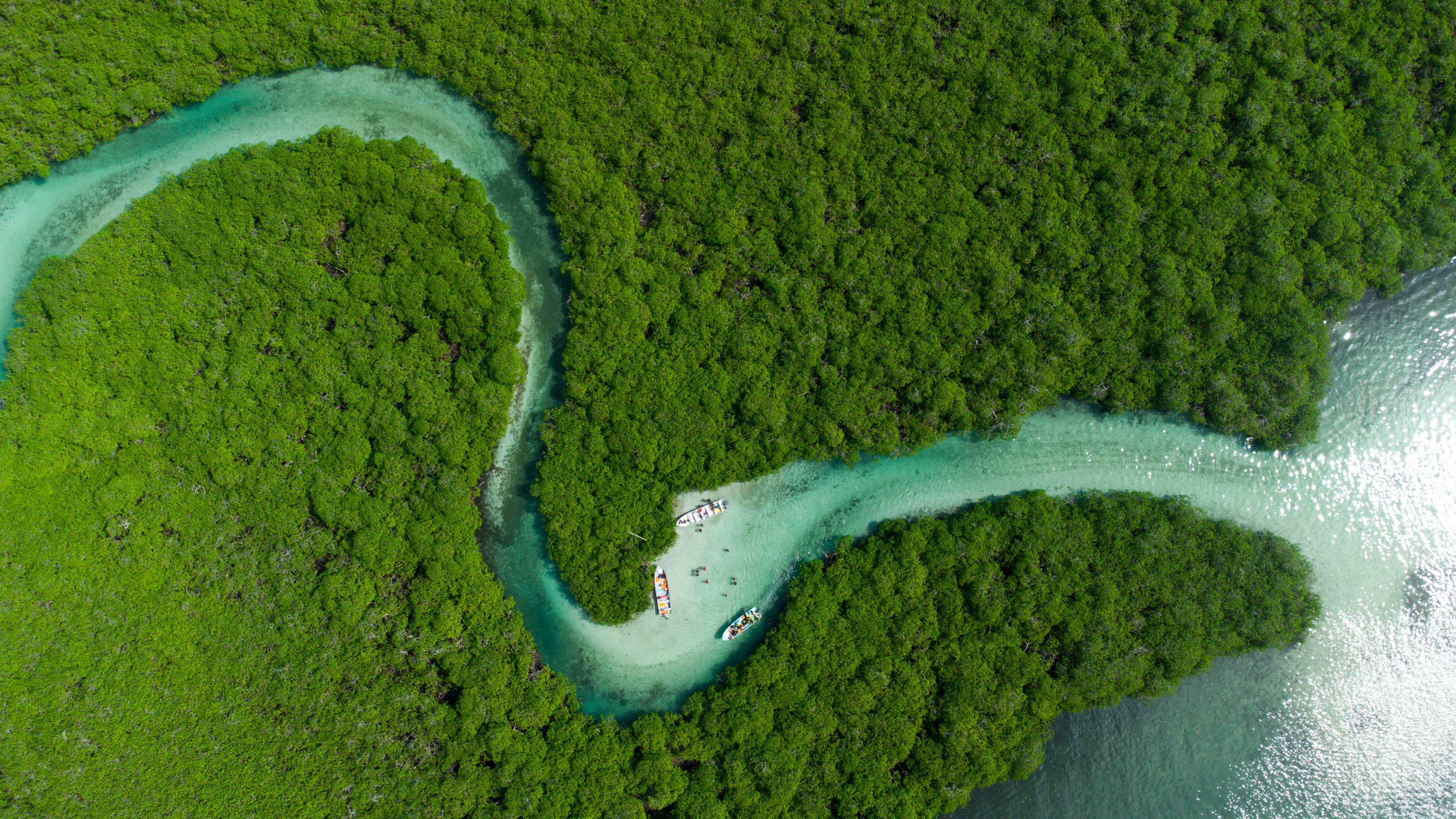 Aerial view of river delta